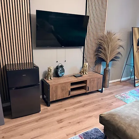 Elegant Apartment