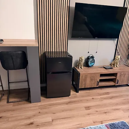 Elegant Apartment
